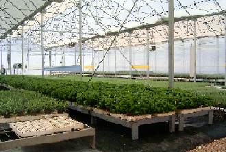 Potential Greenhouse